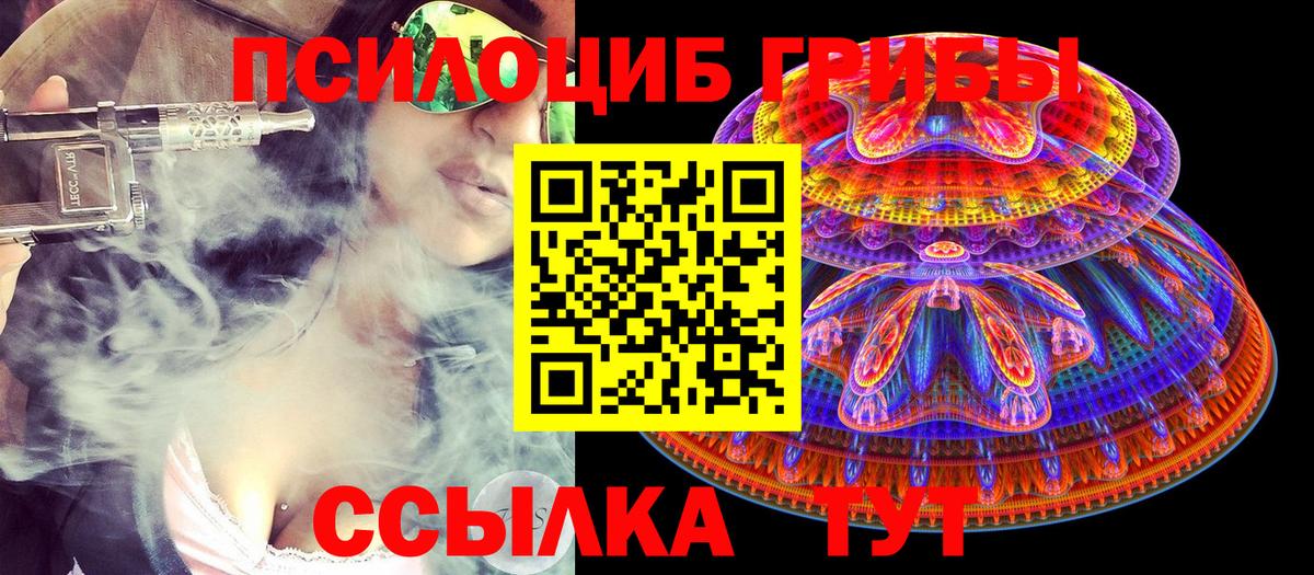 Галлюциногенные грибы GOLDEN TEACHER  Вход с VPN  Курчатов  Галлюциногенные грибы прущие грибы 
