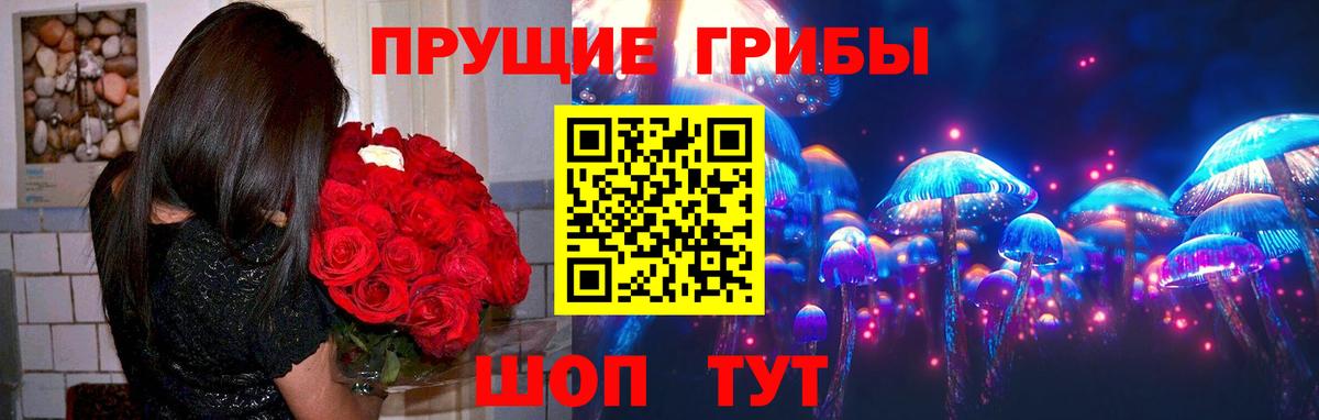Псилоцибиновые грибы прущие грибы Курчатов
