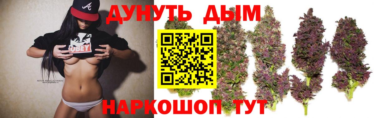 Курчатов  Марихуана Amnesia  Вход с VPN  Канабис MAZAR  Шишки марихуана ГИДРОПОН 